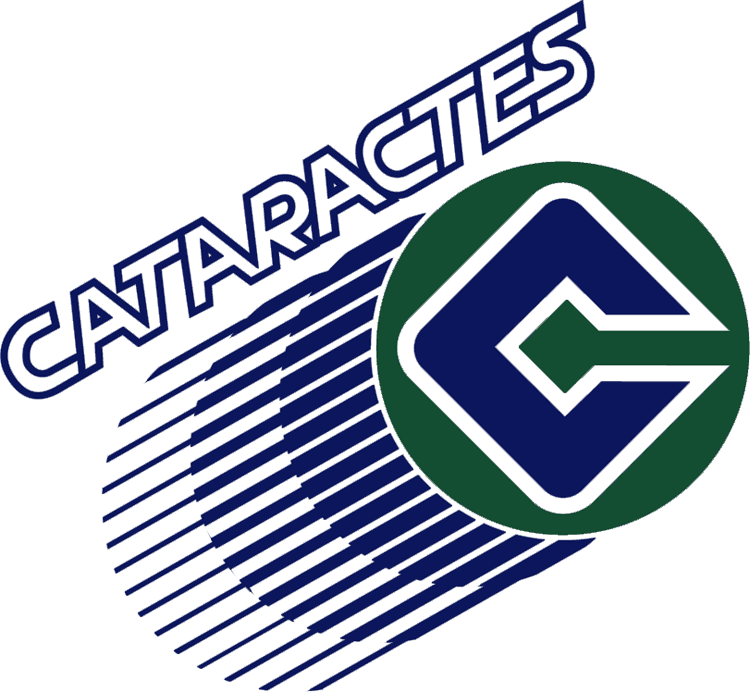 shawinigan cataractes 1990-1998 primary logo iron on transfers for T-shirts